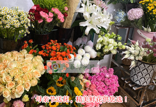 2024上饶上饶县母亲节送花,上饶上饶县精美鲜花供您选!