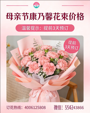 上饶上饶县花店母亲节康乃馨花束