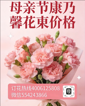 上饶上饶县花店母亲节康乃馨花束
